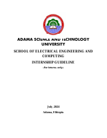 INTERNSHIP GUIDELINE.pdf